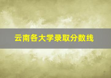 云南各大学录取分数线