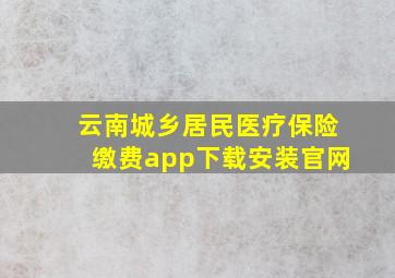 云南城乡居民医疗保险缴费app下载安装官网