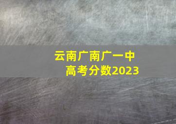 云南广南广一中高考分数2023