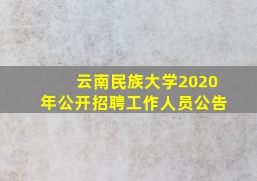 云南民族大学2020年公开招聘工作人员公告