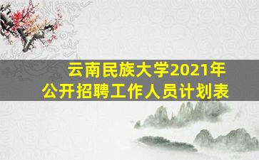 云南民族大学2021年公开招聘工作人员计划表