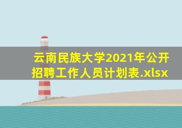 云南民族大学2021年公开招聘工作人员计划表.xlsx