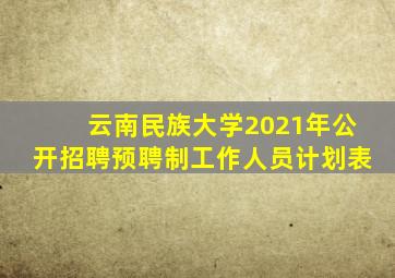 云南民族大学2021年公开招聘预聘制工作人员计划表