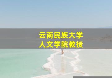 云南民族大学人文学院教授