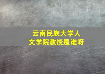 云南民族大学人文学院教授是谁呀