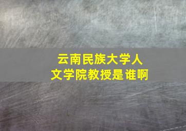 云南民族大学人文学院教授是谁啊