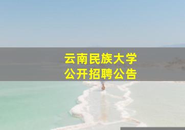 云南民族大学公开招聘公告