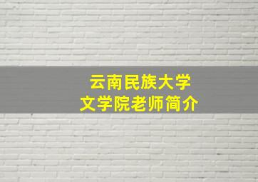 云南民族大学文学院老师简介