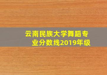 云南民族大学舞蹈专业分数线2019年级