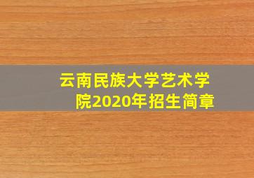 云南民族大学艺术学院2020年招生简章