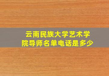 云南民族大学艺术学院导师名单电话是多少