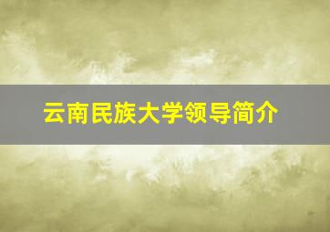 云南民族大学领导简介