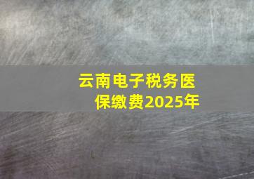 云南电子税务医保缴费2025年