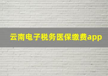 云南电子税务医保缴费app