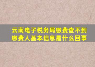 云南电子税务局缴费查不到缴费人基本信息是什么回事