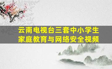 云南电视台三套中小学生家庭教育与网络安全视频