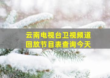 云南电视台卫视频道回放节目表查询今天