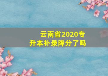 云南省2020专升本补录降分了吗