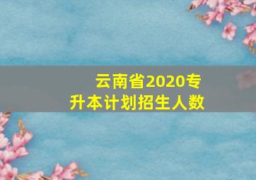 云南省2020专升本计划招生人数