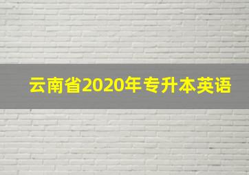 云南省2020年专升本英语