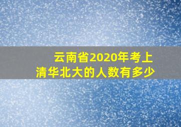 云南省2020年考上清华北大的人数有多少