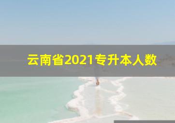 云南省2021专升本人数