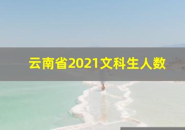 云南省2021文科生人数