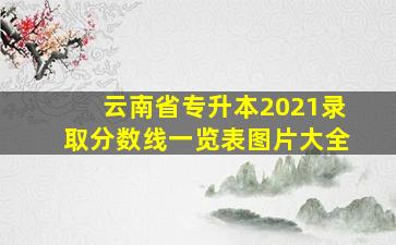 云南省专升本2021录取分数线一览表图片大全