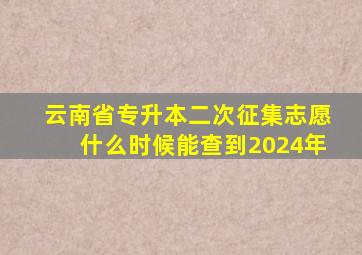 云南省专升本二次征集志愿什么时候能查到2024年