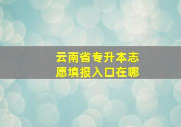 云南省专升本志愿填报入口在哪