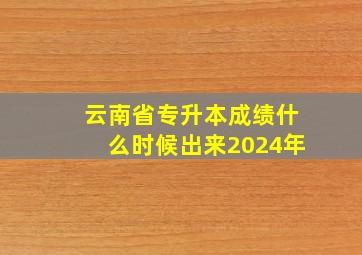 云南省专升本成绩什么时候出来2024年