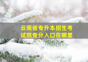 云南省专升本招生考试院查分入口在哪里