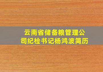 云南省储备粮管理公司纪检书记杨鸿波简历