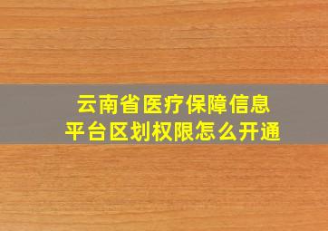 云南省医疗保障信息平台区划权限怎么开通