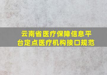 云南省医疗保障信息平台定点医疗机构接口规范