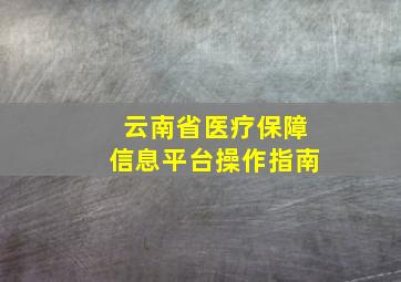 云南省医疗保障信息平台操作指南