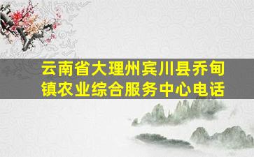 云南省大理州宾川县乔甸镇农业综合服务中心电话