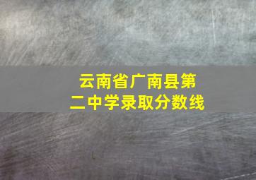 云南省广南县第二中学录取分数线