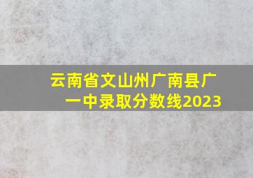 云南省文山州广南县广一中录取分数线2023