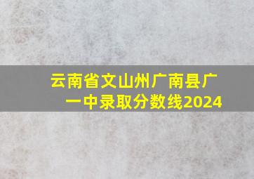 云南省文山州广南县广一中录取分数线2024