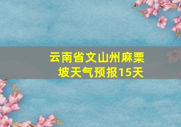 云南省文山州麻栗坡天气预报15天