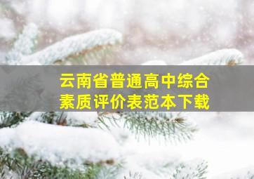 云南省普通高中综合素质评价表范本下载