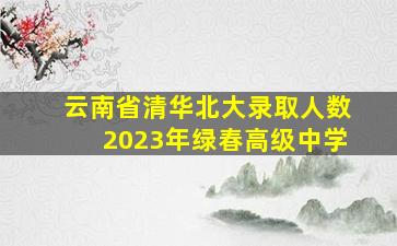 云南省清华北大录取人数2023年绿春高级中学