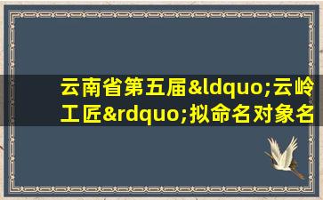 云南省第五届“云岭工匠”拟命名对象名单公示