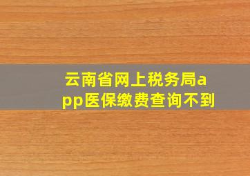 云南省网上税务局app医保缴费查询不到