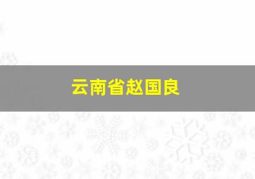 云南省赵国良