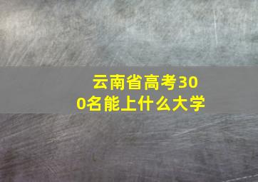 云南省高考300名能上什么大学