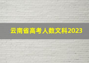 云南省高考人数文科2023