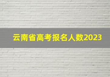 云南省高考报名人数2023