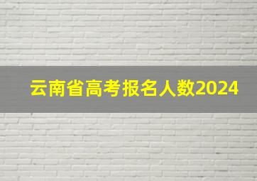 云南省高考报名人数2024